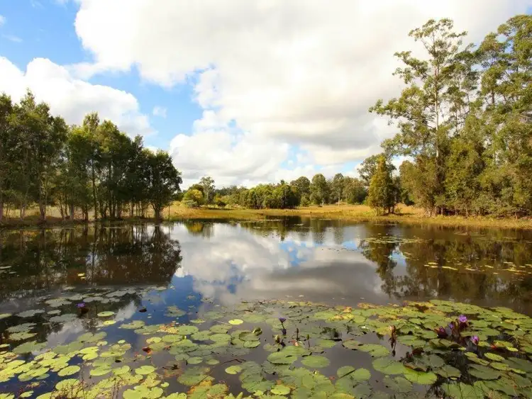 Fifth view of Homely rural property listing, 306 Louis Bazzo Drive, Pomona QLD 4568
