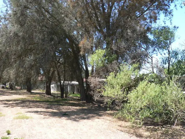 Second view of Homely land listing, 33 Piesse Street, Katanning WA 6317