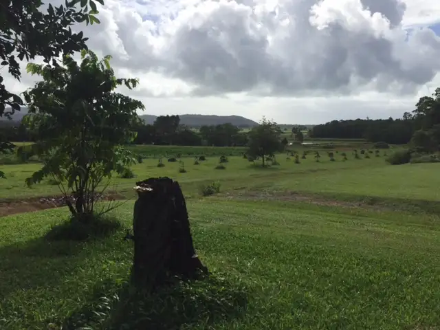 Seventh view of Homely house listing, 23 O'Callaghan Close, Miallo QLD 4873