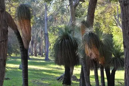 Sixth view of Homely land listing, Lot 20 Cornerstone Way - Biddles Common, Dunsborough WA 6281