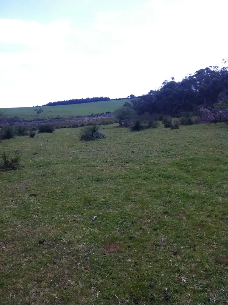 Sixth view of Homely rural property listing, 203 Millbrook Road, Albany WA 6330