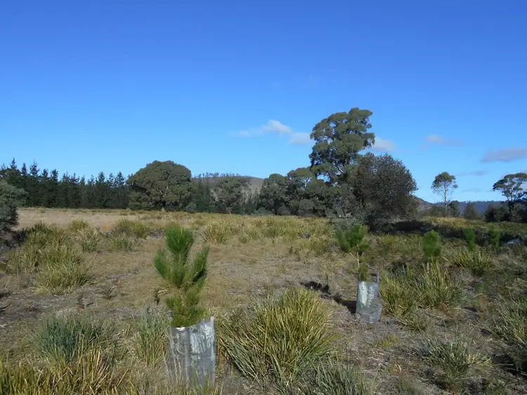 Sixth view of Homely land listing, Lot 4 3386 Nugent Road, Buckland TAS 7190