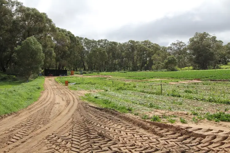 Seventh view of Homely house listing, Address available on request