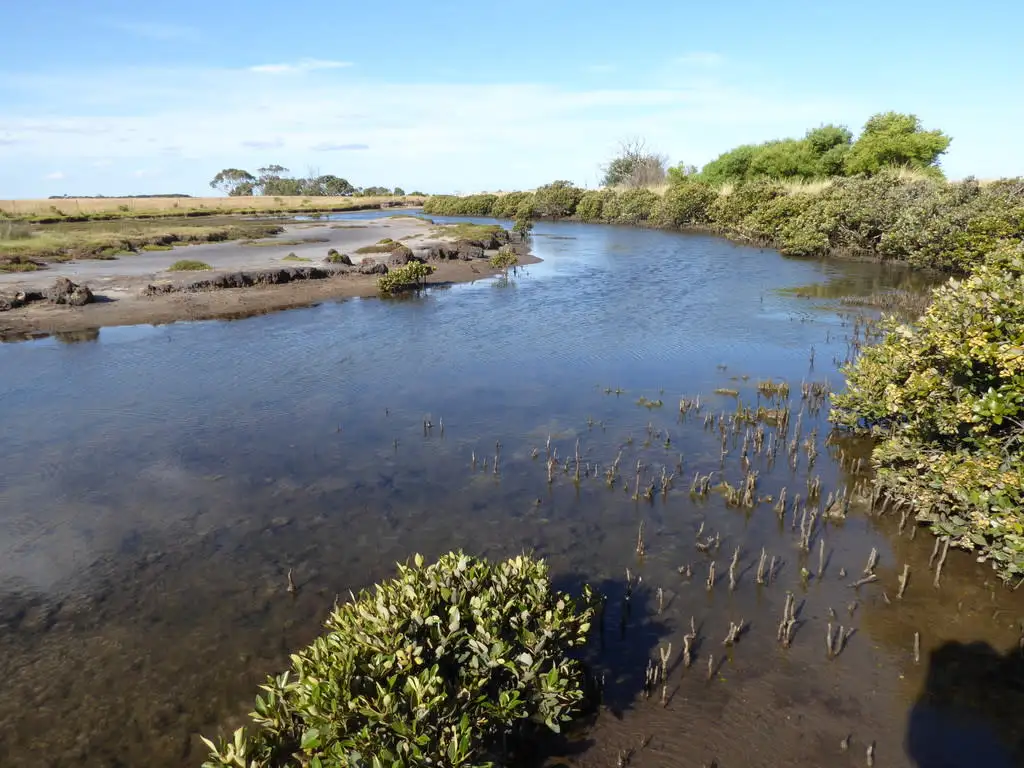 Main view of Homely land listing, # Christopher Street, Mcloughlins Beach VIC 3874