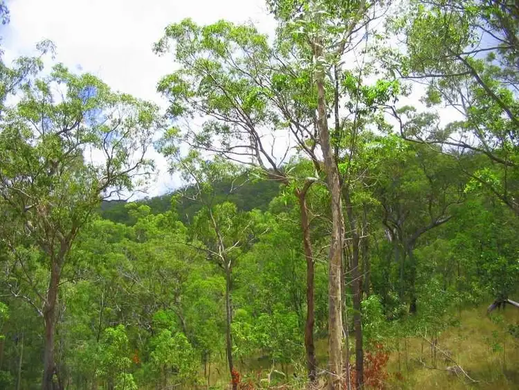 Fifth view of Homely land listing, 213 Davies Road, Captain Creek QLD 4677