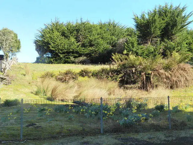 Fifth view of Homely land listing, 36 Main Street, Waratah TAS 7321