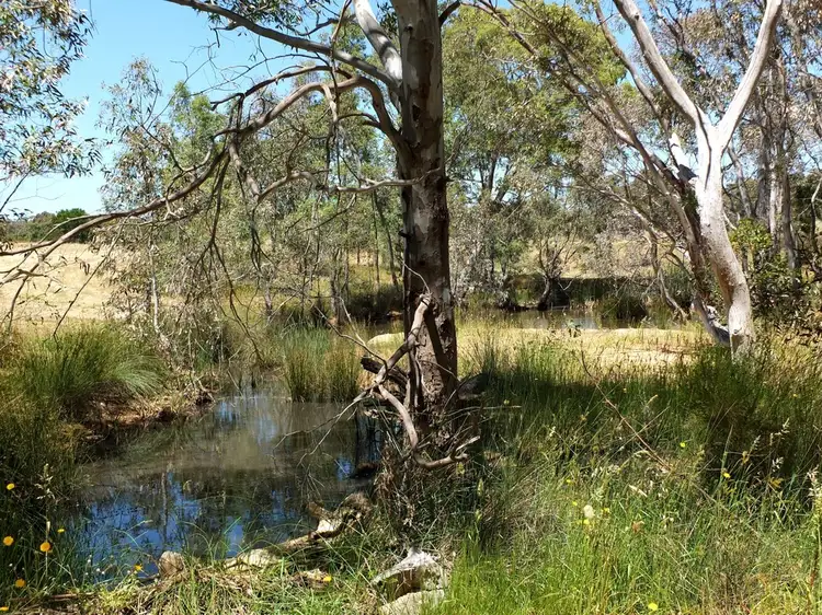 1321 Waubra-Talbot Road, Evansford VIC 3371