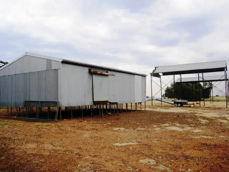 Fifth view of Homely rural property listing, . Carramar / Yarrawonga Road, Mulwala NSW 2647