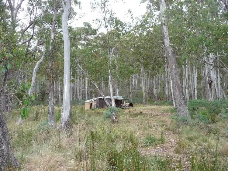 Fifth view of Homely rural property listing, . Chock-N-Log Bay, Lake Leake TAS 7210