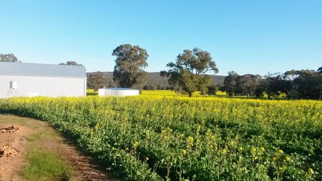 Main view of Homely rural property listing, Lot 106 Berry Brow Rd, Bakers Hill WA 6562