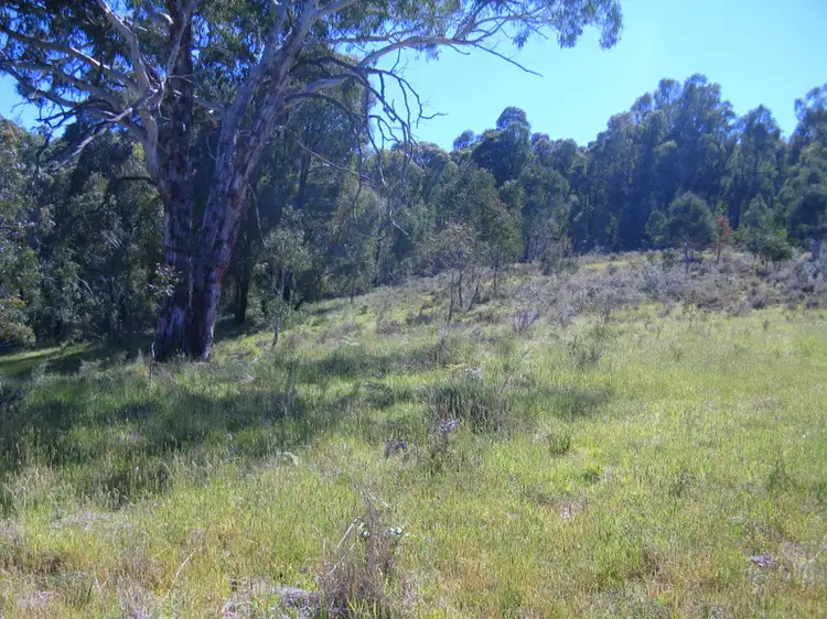 Fourth view of Homely rural property listing, 2920 Corryong Road, Benambra VIC 3900