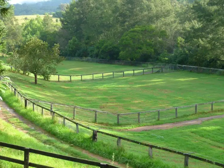 Third view of Homely rural property listing, 813 Yowrie Rd, Cobargo NSW 2550
