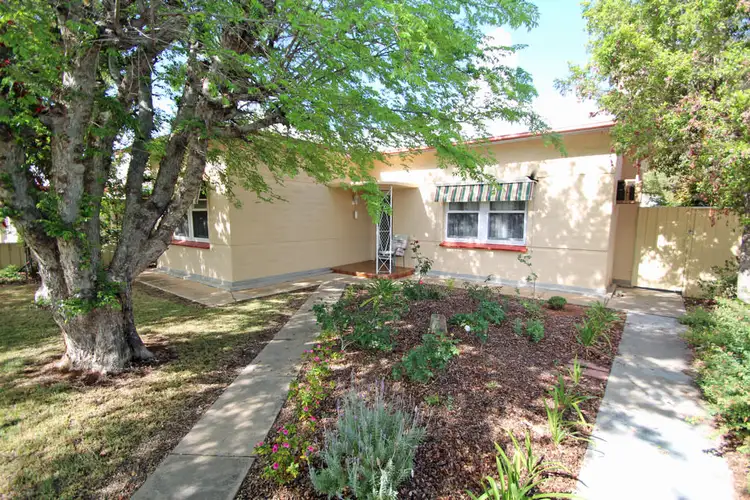 Main view of Homely house listing, 71 Sixteenth Street, Renmark SA 5341