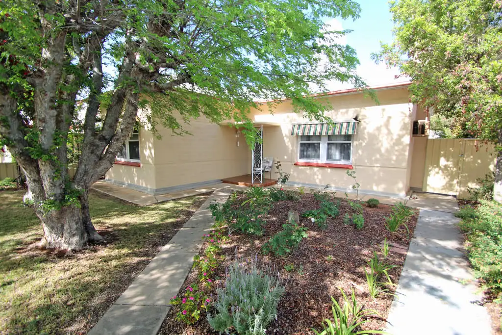 Main view of Homely house listing, 71 Sixteenth Street, Renmark SA 5341
