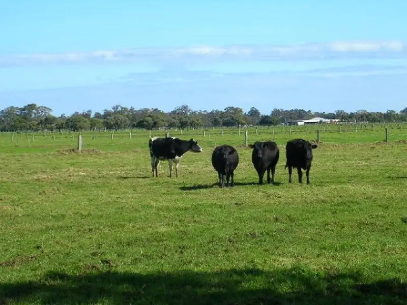 Main view of Homely rural property listing, Lot 51 Melville Road, Brunswick WA 6224