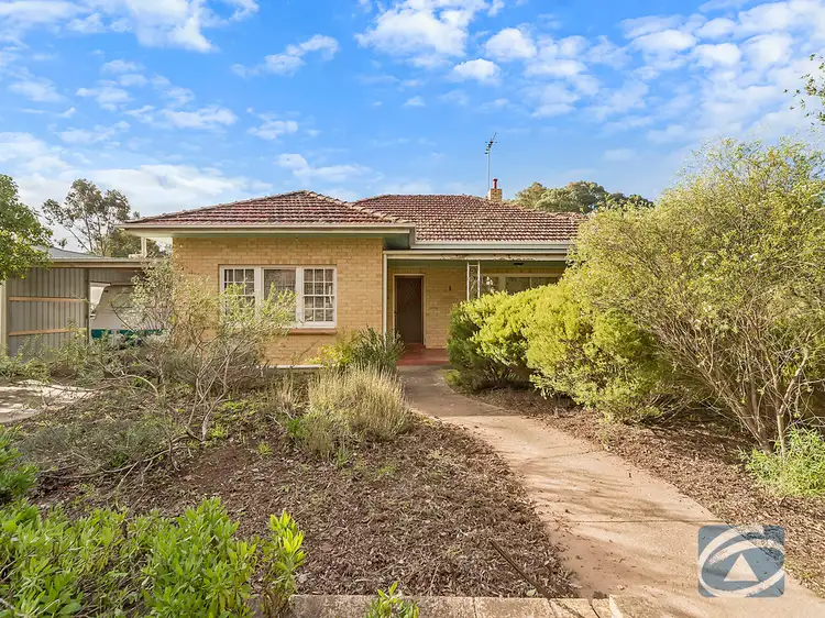 Main view of Homely house listing, 14 College Street, Tanunda SA 5352