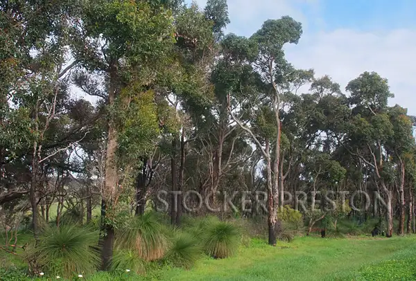Second view of Homely land listing, Lot 39 Nukklgup Loop, Yallingup WA 6282