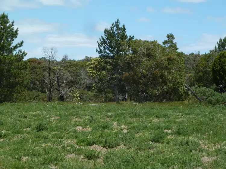Fifth view of Homely rural property listing, Lot 21 Judds Road, Scarsdale VIC 3351