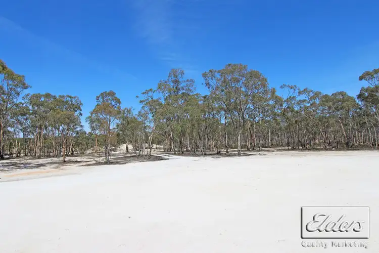 Sixth view of Homely rural property listing, Corner O'Briens Lane and Hawkins Lane, Longlea VIC 3551