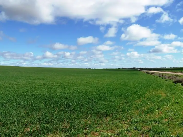 Main view of Homely rural property listing, Section 38 Hundred of Gordon, Loxton North SA 5333