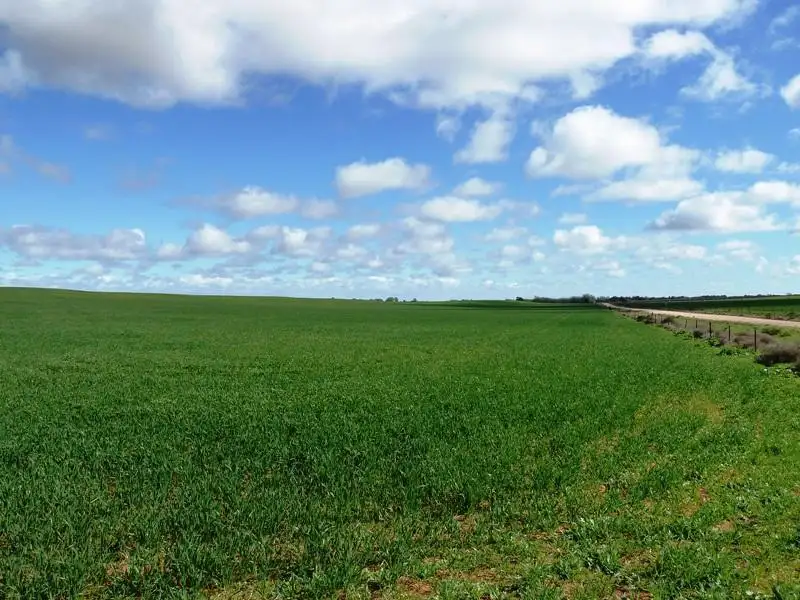 Main view of Homely rural property listing, Section 38 Hundred of Gordon, Loxton North SA 5333