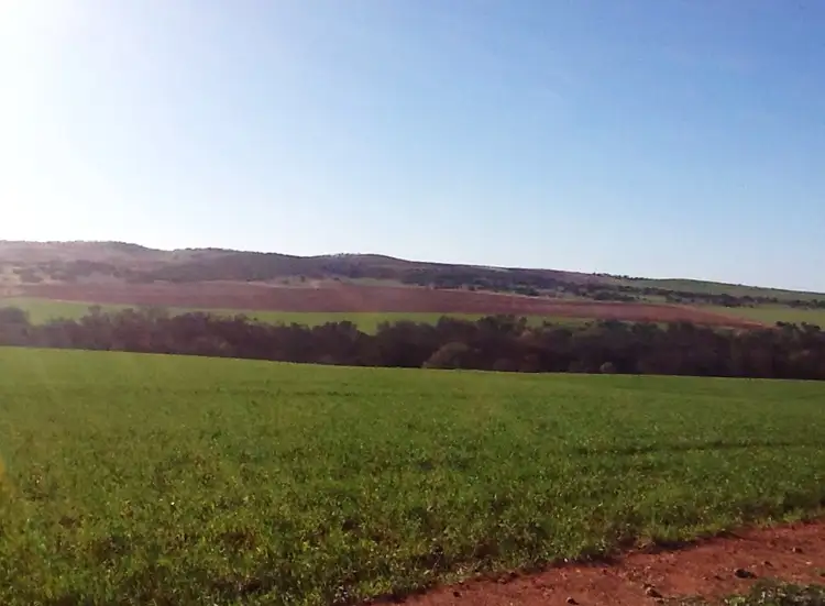Lot 517 Larard Road, Sandy Gully WA 6535