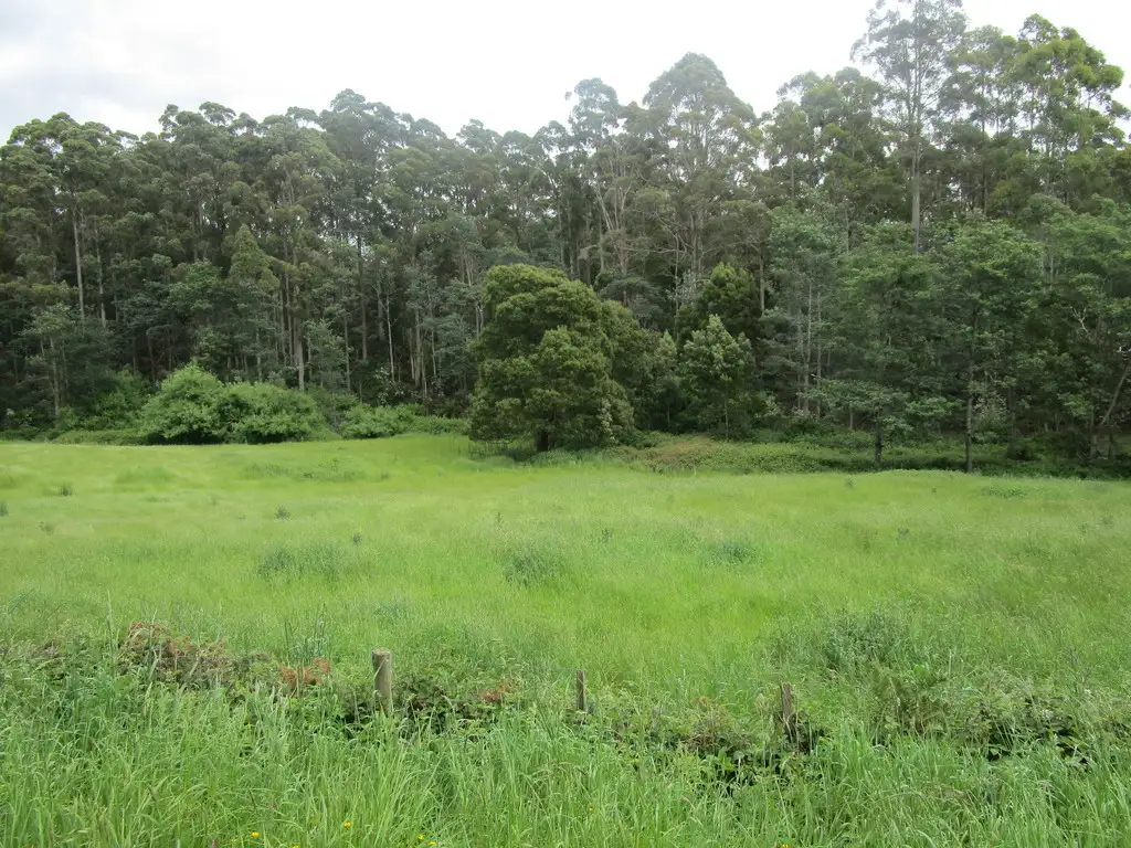 Main view of Homely rural property listing, - Castra Road, Abbotsham TAS 7315