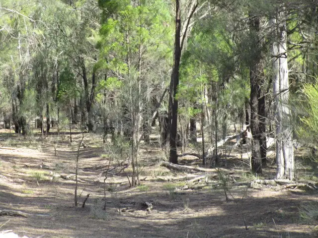 Third view of Homely rural property listing, LOT 19 EMU PARADE, Tara QLD 4421