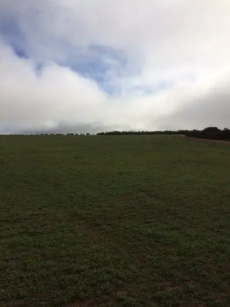 Seventh view of Homely rural property listing, Lot 27587 Billericay Road East, Karlgarin WA 6358