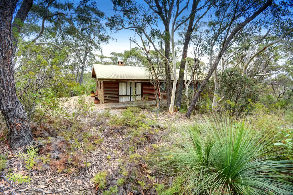 Main view of Homely house listing, 31 Kanimbla Valley Road, Mount Victoria NSW 2786