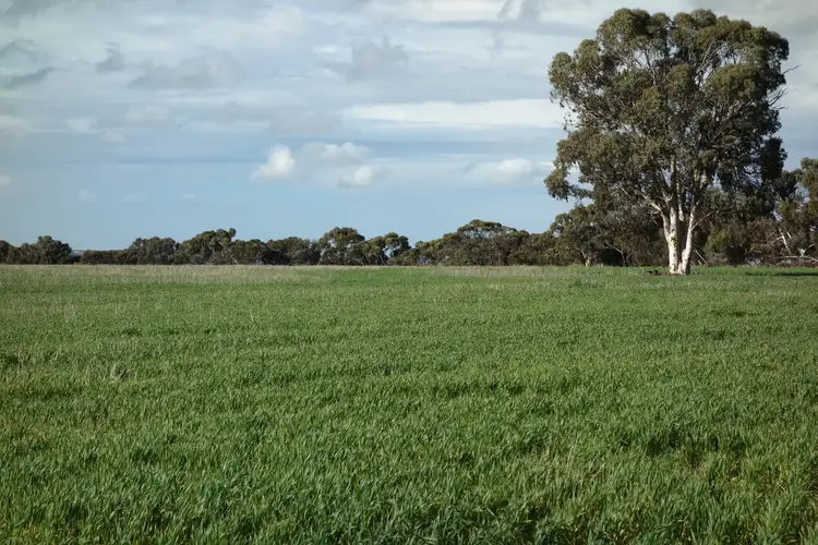 , Yilliminning Road, Toolibin WA 6312