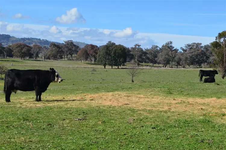 Fourth view of Homely house listing, Lot 21 Twomeys Lane ( Lot 1 Withers Lane), Tumut NSW 2720