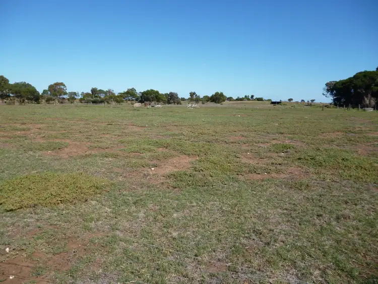 Sixth view of Homely rural property listing, 3314 Jervois Rd, Wellington SA 5259
