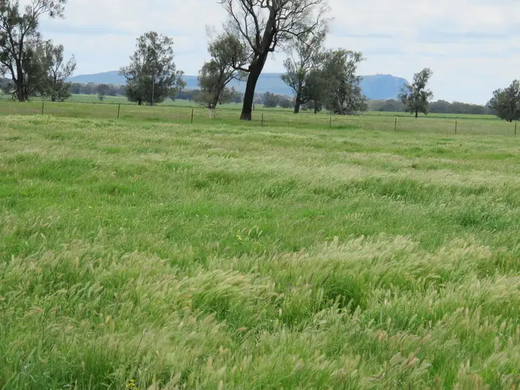 Fifth view of Homely rural property listing, 175 Noradjuha Tooan East Road, Horsham VIC 3400
