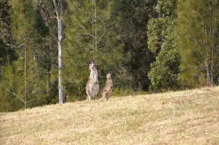 Third view of Homely land listing, Address available on request