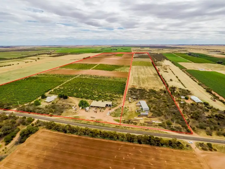 Main view of Homely rural property listing, 446 & 333 Sculthorpe Road, Nangiloc VIC 3494
