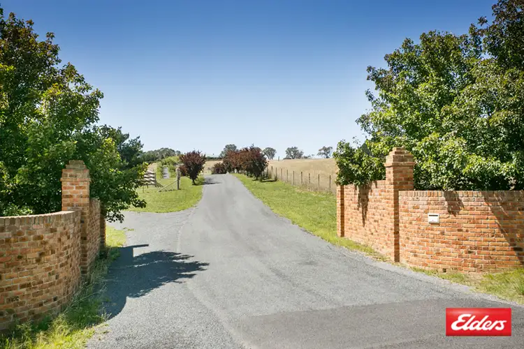 Fifth view of Homely house listing, 206 Gooromon Ponds Road, Wallaroo NSW 2618