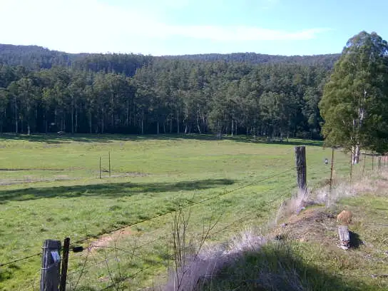 Fifth view of Homely rural property listing, 3780 Yarra Junction - Noojee Road, Neerim Junction VIC 3832