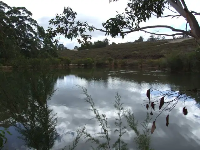 Fifth view of Homely rural property listing, 1667 Graphite Road, Manjimup WA 6258