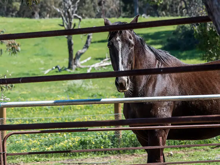 74 McNamara Road, Wundowie WA 6560