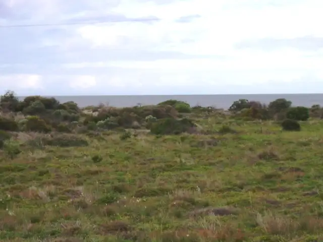 Fourth view of Homely land listing, Allotment 4 Blombery Road, Arno Bay SA 5603