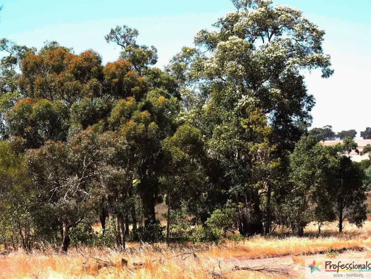 Fourth view of Homely rural property listing, Lot 6156 Wandering North Rd, Pingelly WA 6308