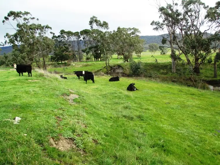 Seventh view of Homely rural property listing, 941 Yarck Road, Gobur VIC 3719