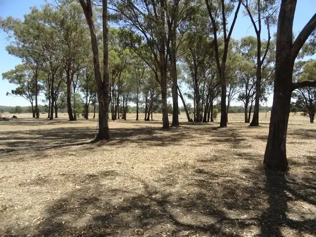 Fifth view of Homely rural property listing, 93 Williams Road, Barnawartha VIC 3688