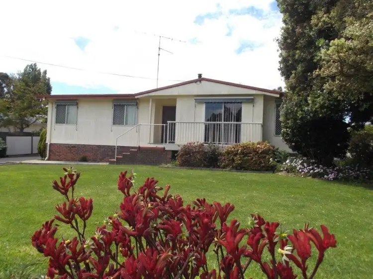 Second view of Homely house listing, 6 Cronin Street, Manjimup WA 6258