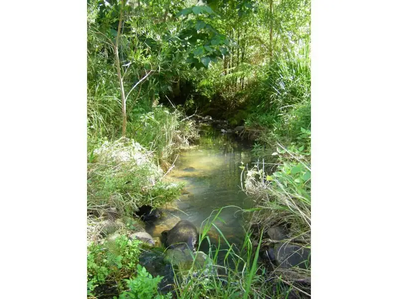 Main view of Homely land listing, Lot 5 Tulsi Lane, Nimbin NSW 2480