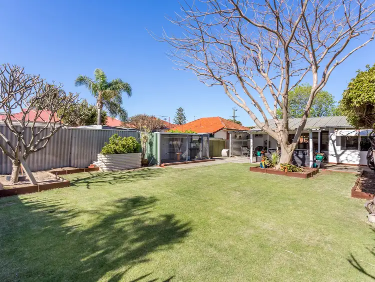 145 Flamborough Street, Doubleview WA 6018