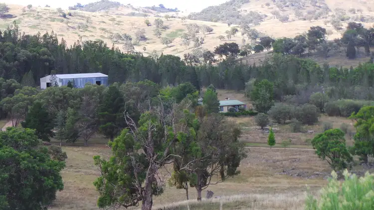 Fifth view of Homely rural property listing, 339 box forest road, Uralla NSW 2358