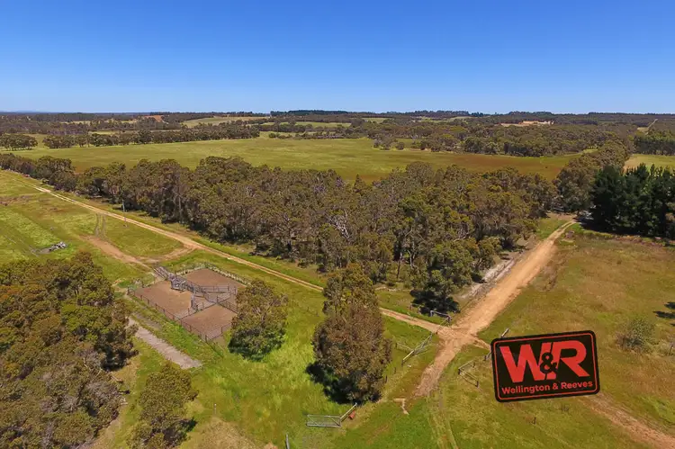 Third view of Homely rural property listing, 5259 Waterman Road, Mount Barker WA 6324