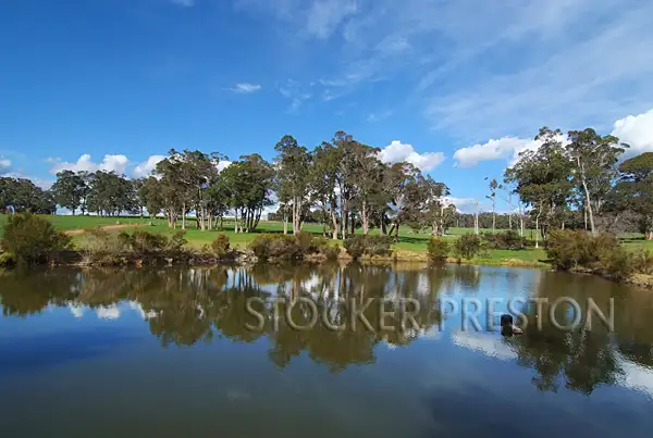 Sixth view of Homely rural property listing, 13 Mitchell Road, Rosa Brook, Margaret River WA 6285
